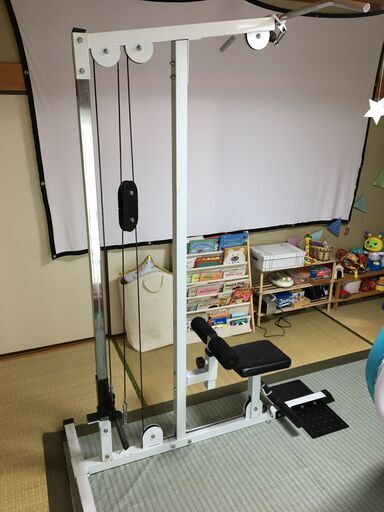 ラットプル&ロープーリーマシン、ウェイト28kg分付き　＊WILD FIT＊