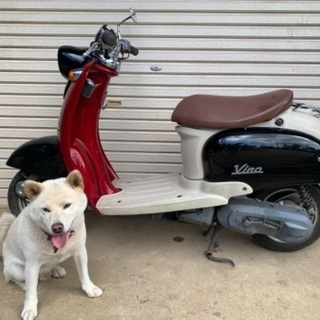 ビーノ　50 5AU 2サイクル　実働　現状車　日立南太田ic