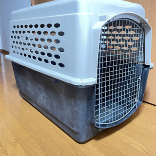 バリケンネル　大型犬　XL