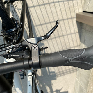 tern clutch ターン クラッチ サイズ480 クロスバイクの画像