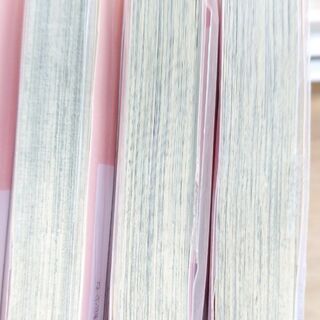 君がオリオン「１～２」ラブマウント「１～２」各全巻　計４冊の画像