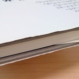 【無料】【使用感あり】【お引き取り先決定】ビジネス書『経営者に贈る5つの質問』の画像