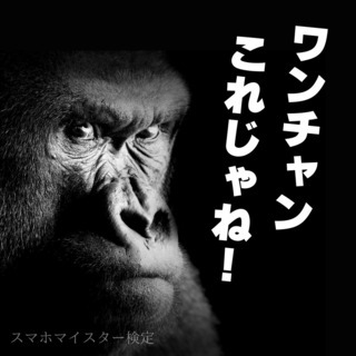 全国で資格取得者が急増中！注目の通信資格「スマホマイスター検定」