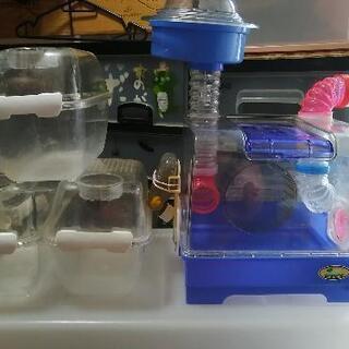 ナンバー1！！激安ハムスターケージ2種類の画像