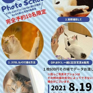 8/19 キャットフォトイベント一緒に行ってくれる方居ませんか？