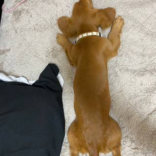 会って話したり遊んだりご飯できる方❗️