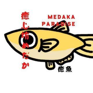 AEON穂波店　めだか掬い開催‼️ - イベント