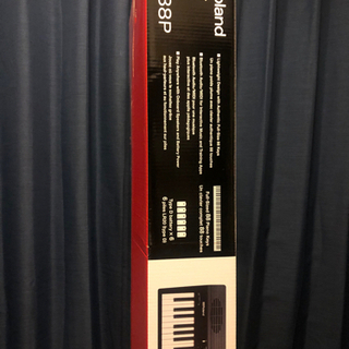 ※取引終了【一回試奏のみ！新品同様】Roland GO : PI...