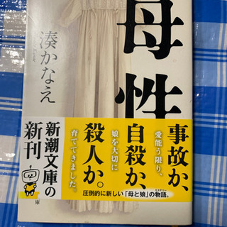 湊かなえ 12冊　文庫セット　差し上げます。の画像