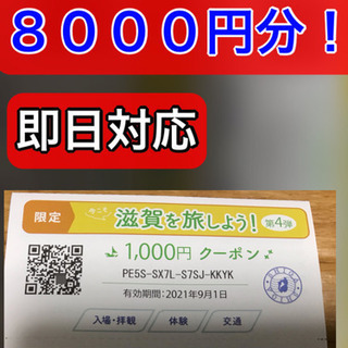 今こそ滋賀を旅しよう【しが周遊クーポン】限定券です