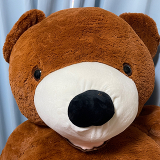 コストコ 特大くまのぬいぐる