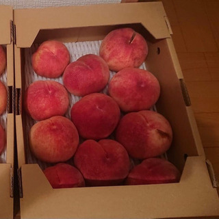 福島県産訳あり桃