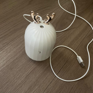 ミニ加湿器、縄跳び