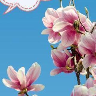 ④新🌷規🌷仲🌷間🌷募🌷集🌷中🌷 - メンバー募集