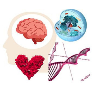 科学的オーラ診断付き🌸『モヤモヤ』を抱えているあなたへ の画像