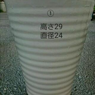 １鉢～　胡蝶蘭の鉢　引き取り限定　m(_ _)mの画像