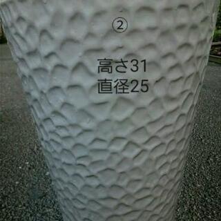 １鉢～　胡蝶蘭の鉢　引き取り限定　m(_ _)mの画像