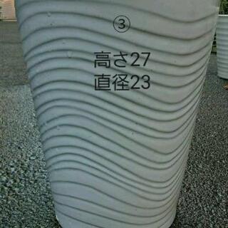 １鉢～　胡蝶蘭の鉢　引き取り限定　m(_ _)mの画像