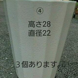 １鉢～　胡蝶蘭の鉢　引き取り限定　m(_ _)mの画像
