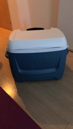 ☆グルキャンやファミリーキャンプにピッタリ！☆IgLoo MAXCOLD  62QT 58L