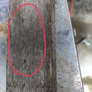 makita マキタ AF502 常圧タッカ 仕上釘打 フィニッシュネイラ 本体のみ (D4186kaxY)の画像