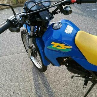 TS-50ハスラーの画像