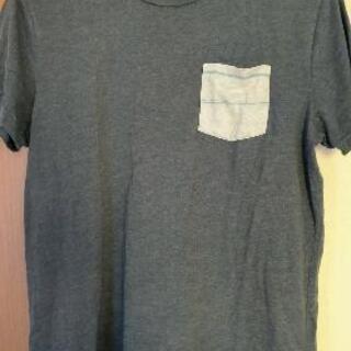 HOLLISSTER Tシャツ