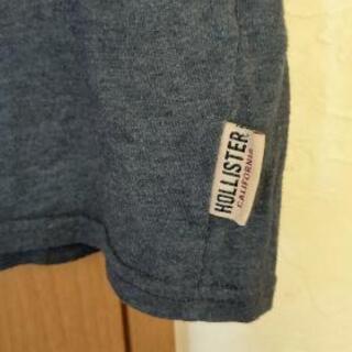 HOLLISSTER Tシャツの画像