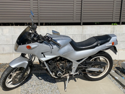 [決まりました]FZ250 フェーザー　1KG ジャンク