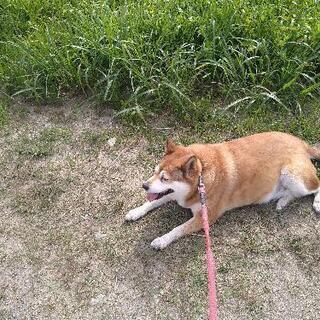 中学生専門　家庭教師受けます。の画像