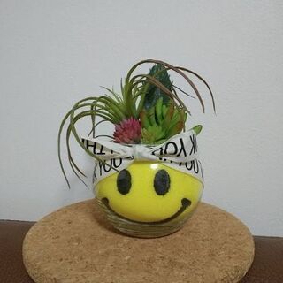 カラーサンドアート ニコちゃん スマイリー 多肉植物