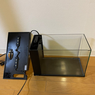 水槽34cm  ピーシュリンプ🦐　ラクテリア黒　ジャンク品