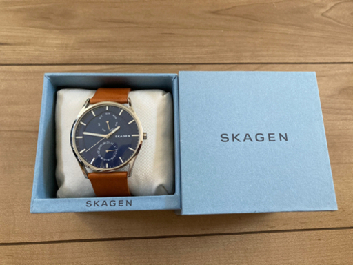 メンズ、スカーゲンの時計