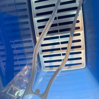 【8月中のみ】ミルトン！！！の画像