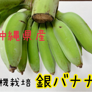沖縄県産★有機栽培★銀バナナ🍌🍌
