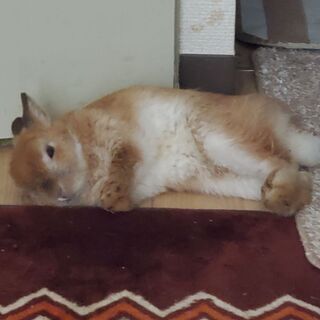 楽しく、話したりできる、友達探してます