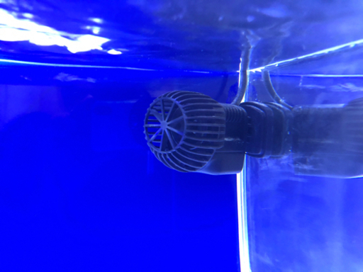 海水魚水槽　セット販売