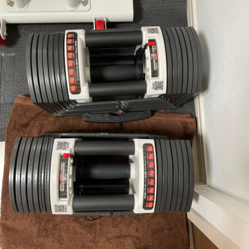 可変式ダンベル40kg