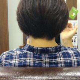 カットモデル募集