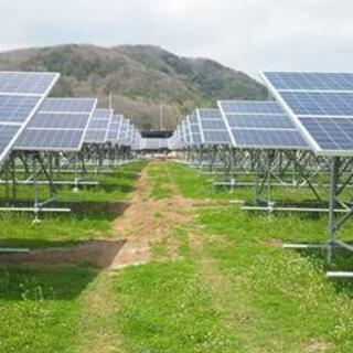 太陽光草刈り