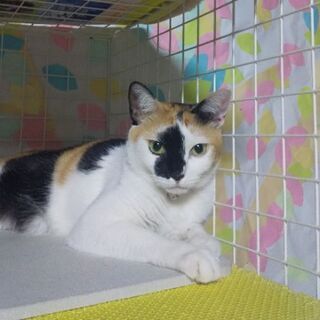 捜しています。