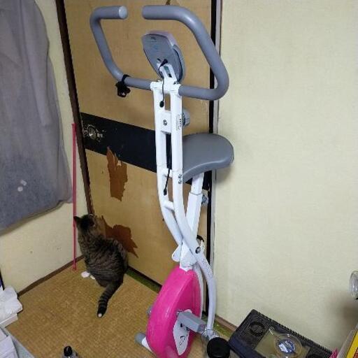 アルインコエアロバイク(美品)