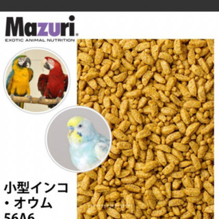 🐹Mazuri スモールバードメンテナンス 🐹