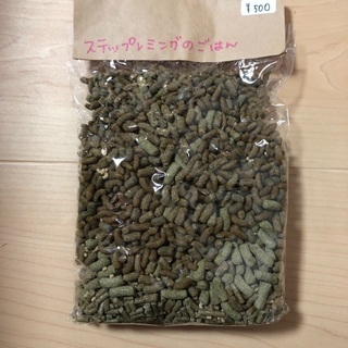 🐹小動物専用フード各種販売中🐹 - 地元のお店