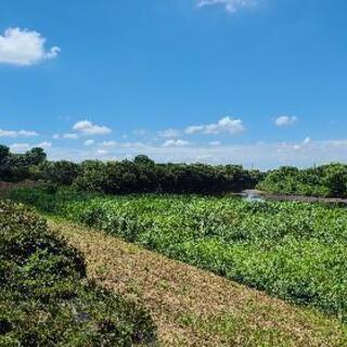 ウォーキング中😃 − 茨城県