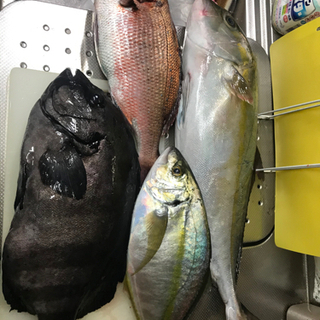 釣り堀のメンバー募集してます‼︎ - 友達