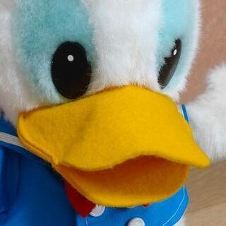 ぬいぐるみの画像