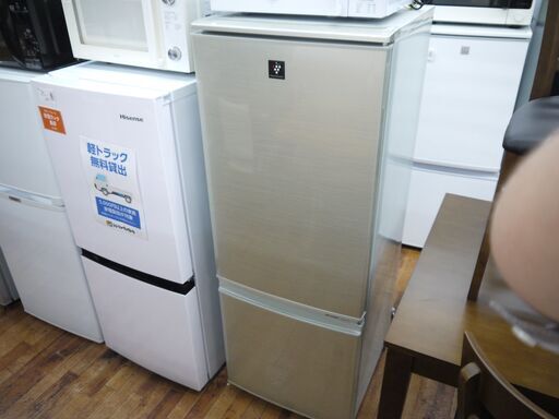 SHARPの2ドア冷蔵庫（2013年製）のご紹介！有料配送あり【トレファク入間店家具紹介21-08】