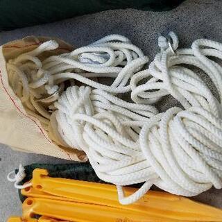 コールマン　タープ　Coleman　の画像