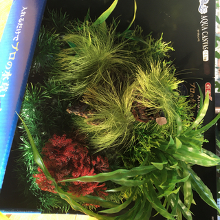 gex アクアキャンバス